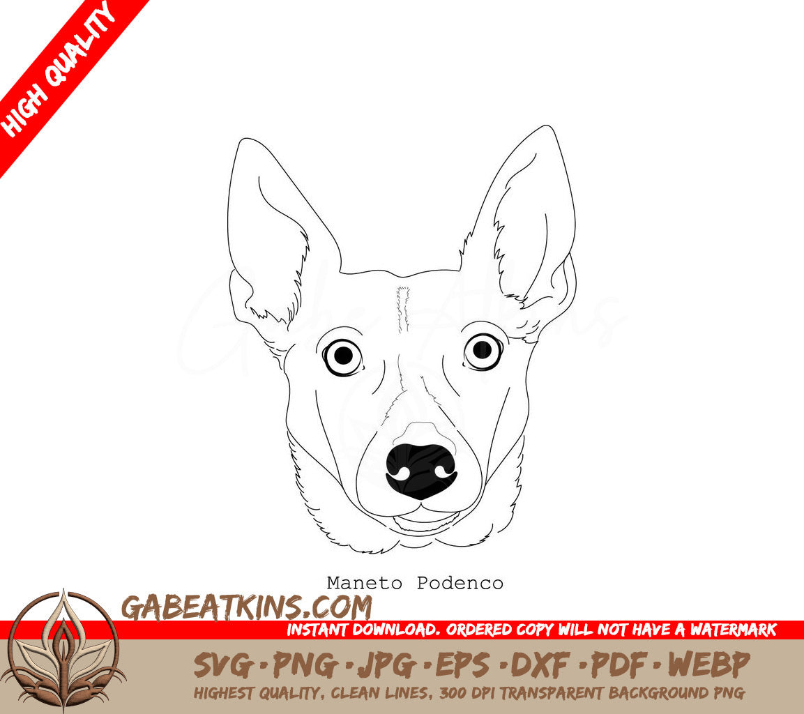 Maneto Podenco Dog Breed SVG -  Outline Drawing SVG