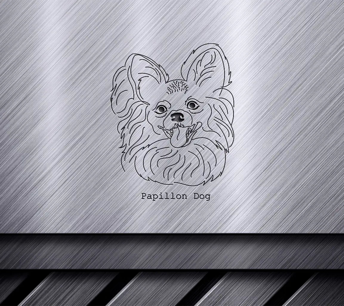 Papillon Dog SVG -  Outline Drawing SVG