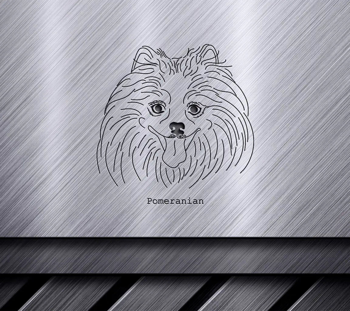  Pomeranian Dog SVG - Outline Illustration SVG