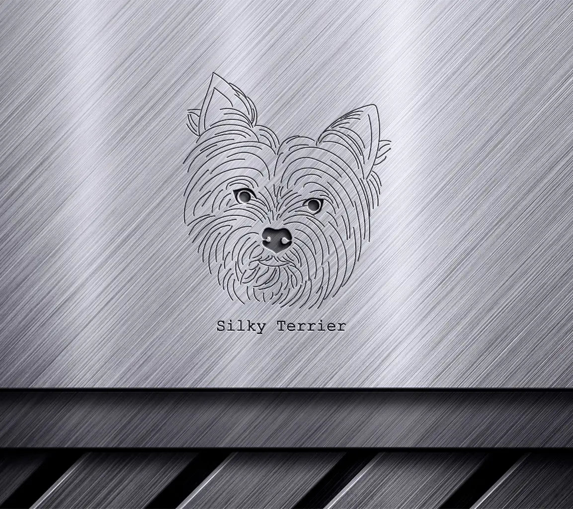 Silky Terrier SVG -  Outline Drawing SVG