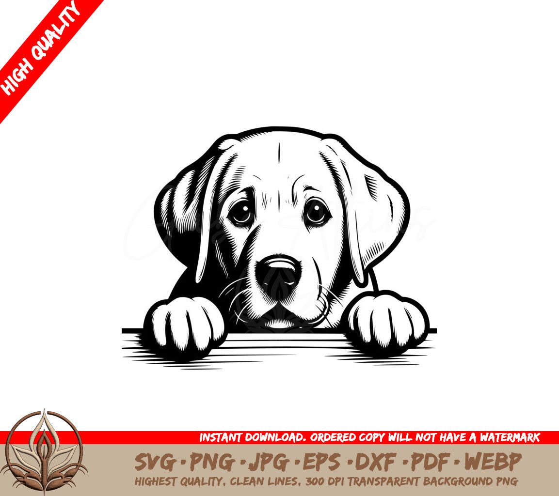 Dreamy Labrador Retriever Design SVG