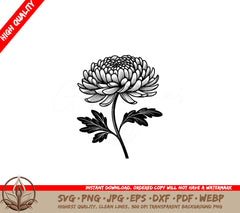 Elegant Chrysanthemum SVG - Offering Multiple File Formats