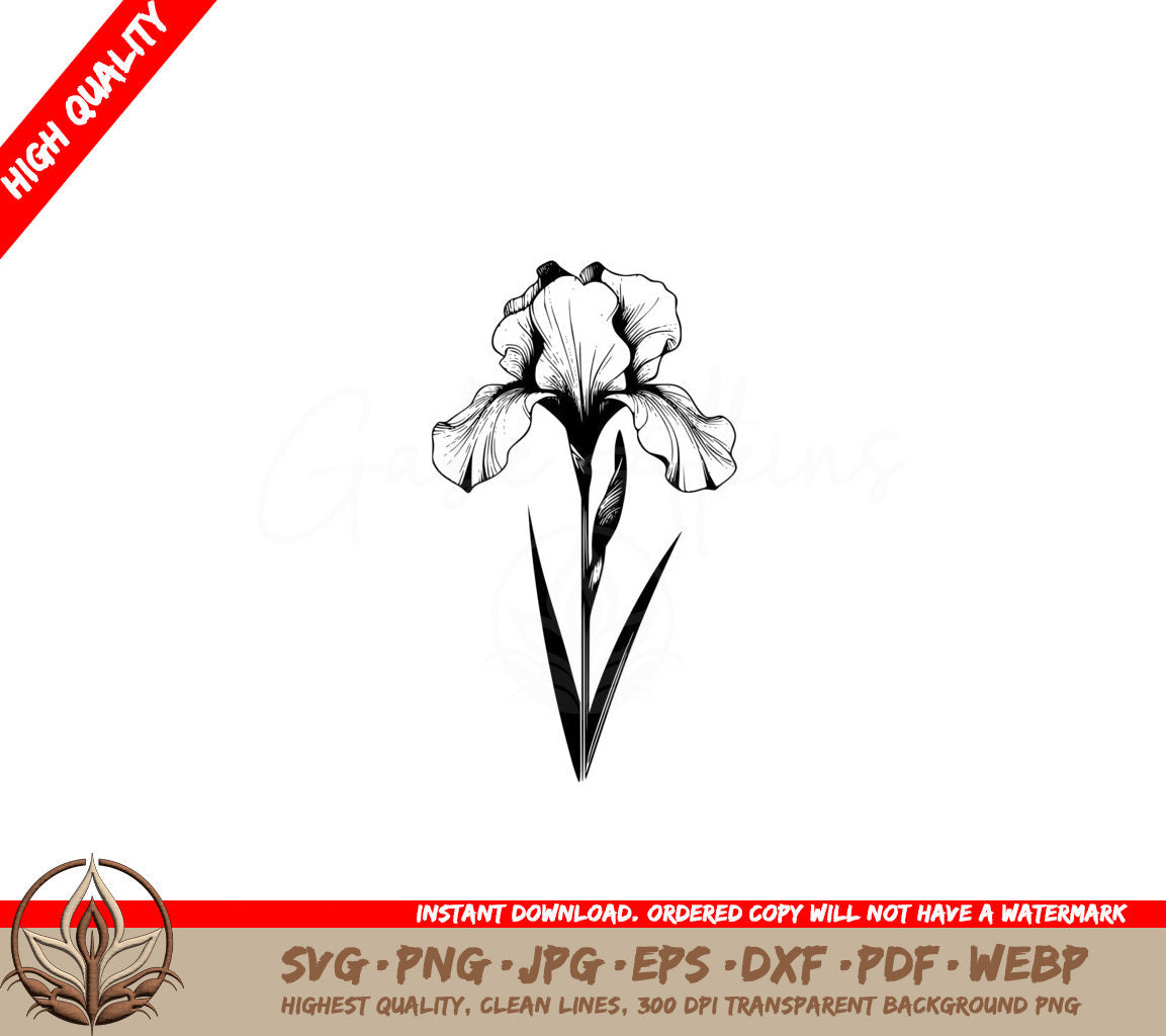 Elegant Iris Digital Design SVG