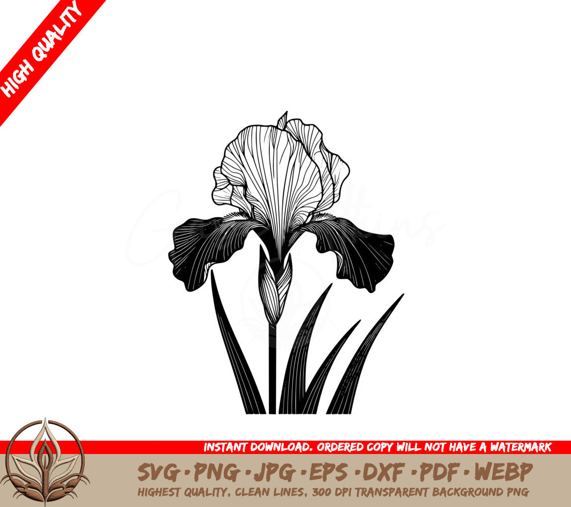 Elegant Iris Bloom Digital Product in SVG