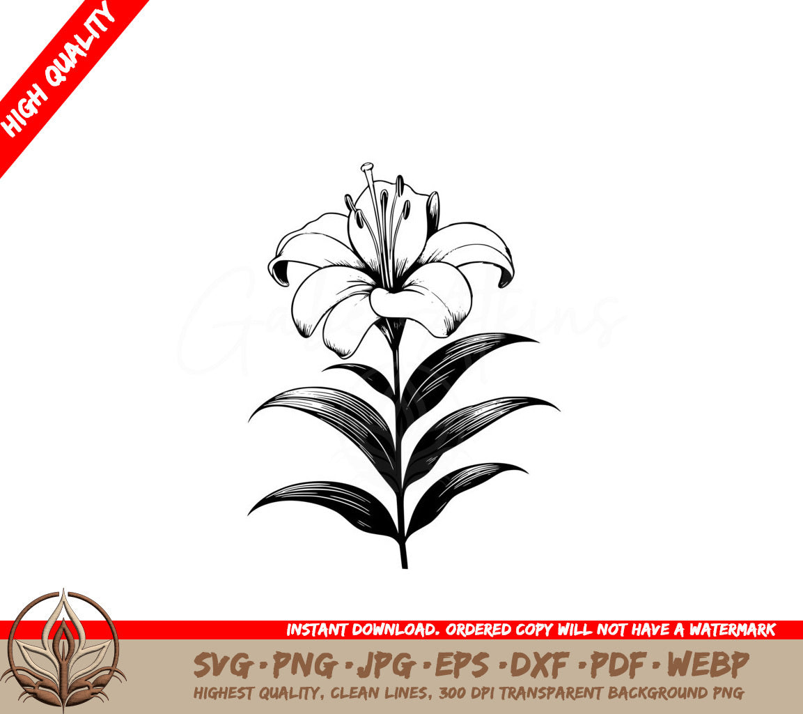 Elegant Lily Bloom SVG - Digital File in Multiple Formats