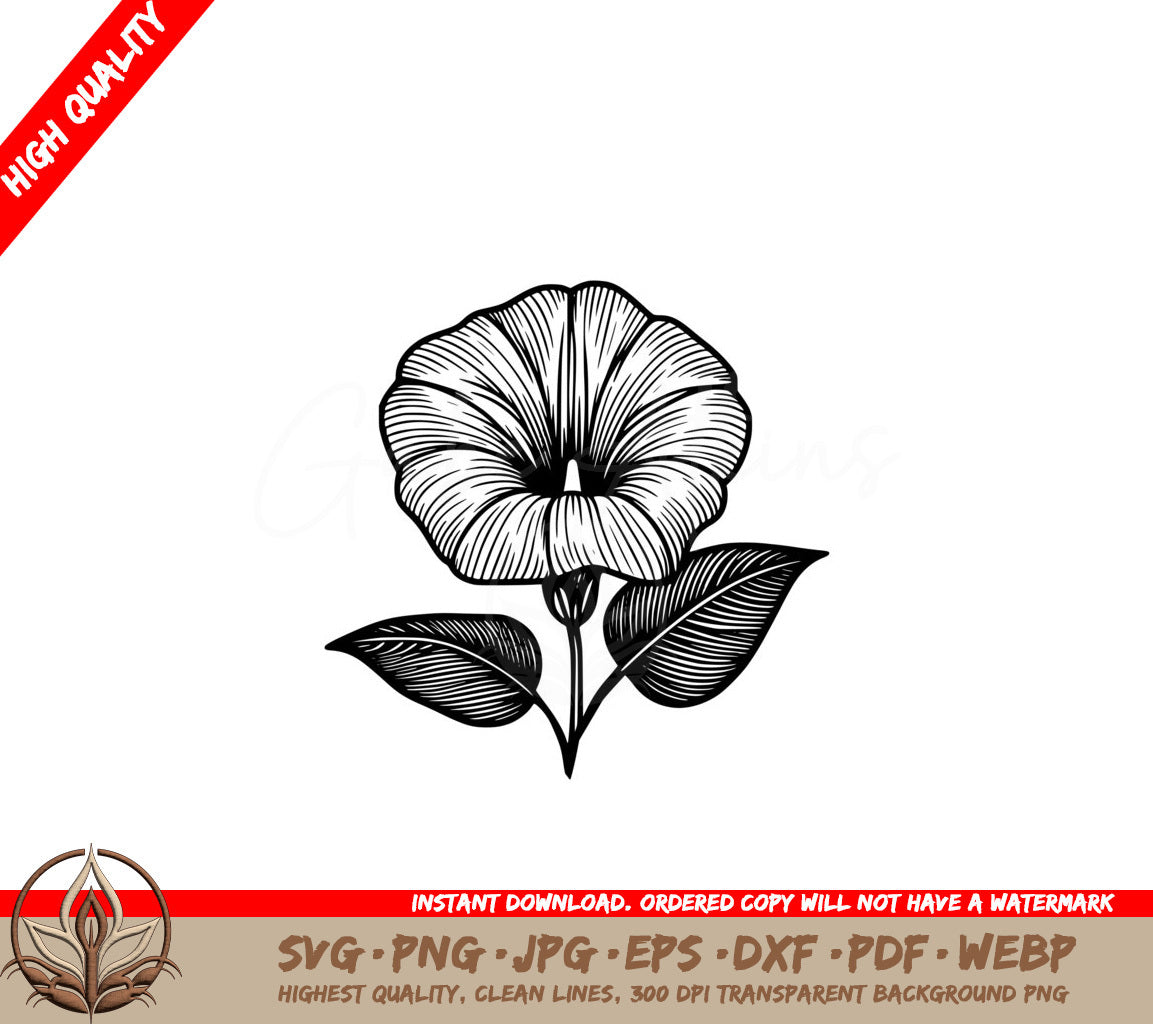 Elegant Morning Glory SVG - Multi-format Digital Product