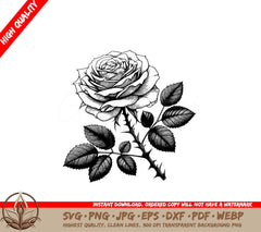 Eternal Rose SVG - Digital Product file (SVG, PNG, JPG, AI, PDF, DXF, EPS, WebP)