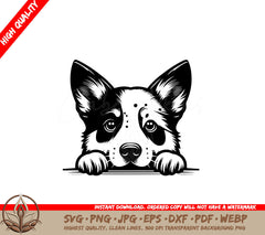 Expressive Australian Cattle Dog SVG File