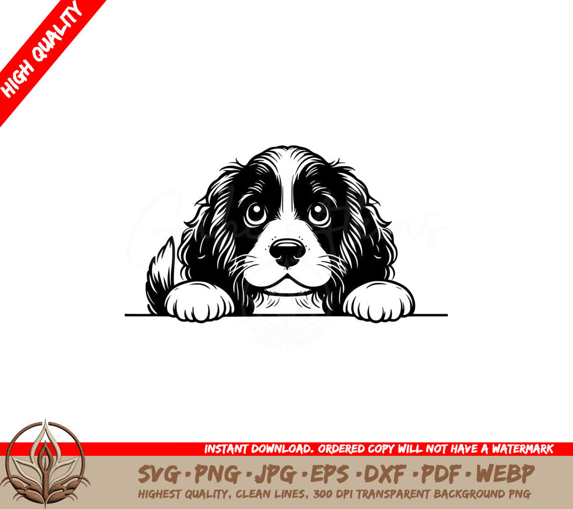 Floppy-eared Boykin Spaniel SVG - Digital File Collection