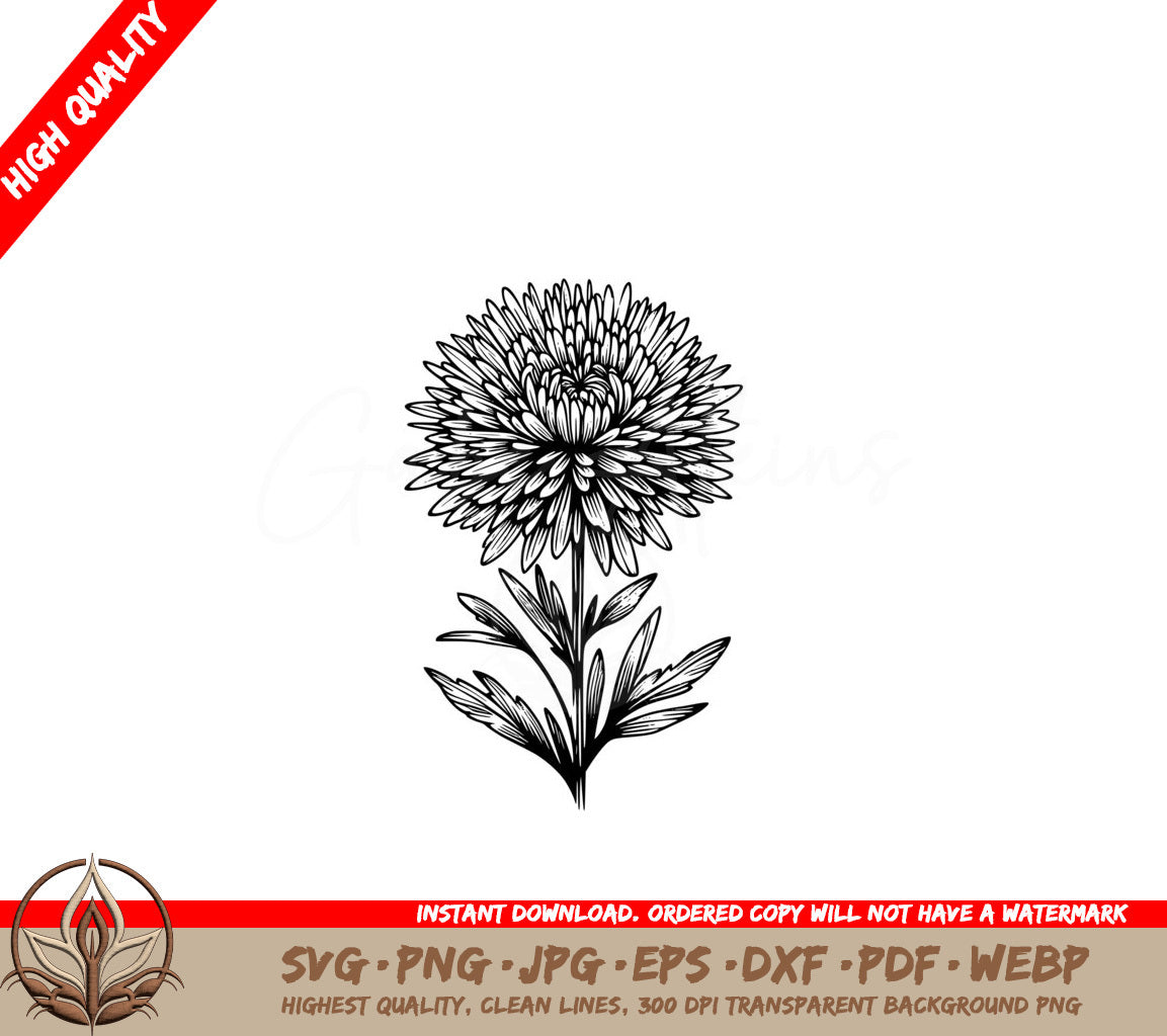 Fluffy Aster Bloom Product SVG