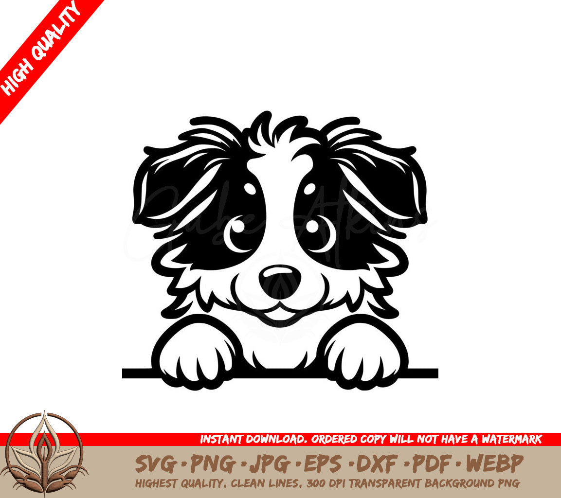 Fluffy Border Collie Gaze SVG