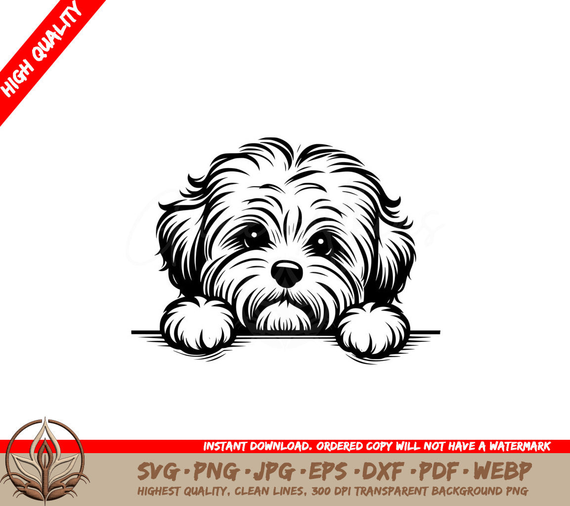 Fluffy Havanese Digital Product - SVG