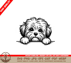 Fluffy Havanese Digital Product - SVG