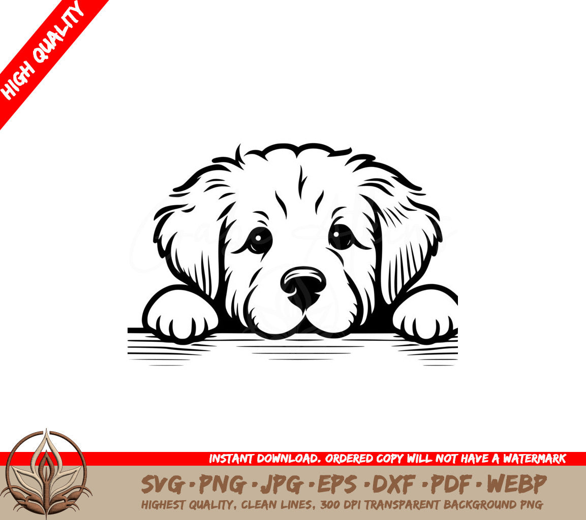 Adorable Labrador SVG File