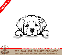 Adorable Labrador SVG File