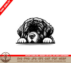 Fluffy Newfoundland Digital File - SVG