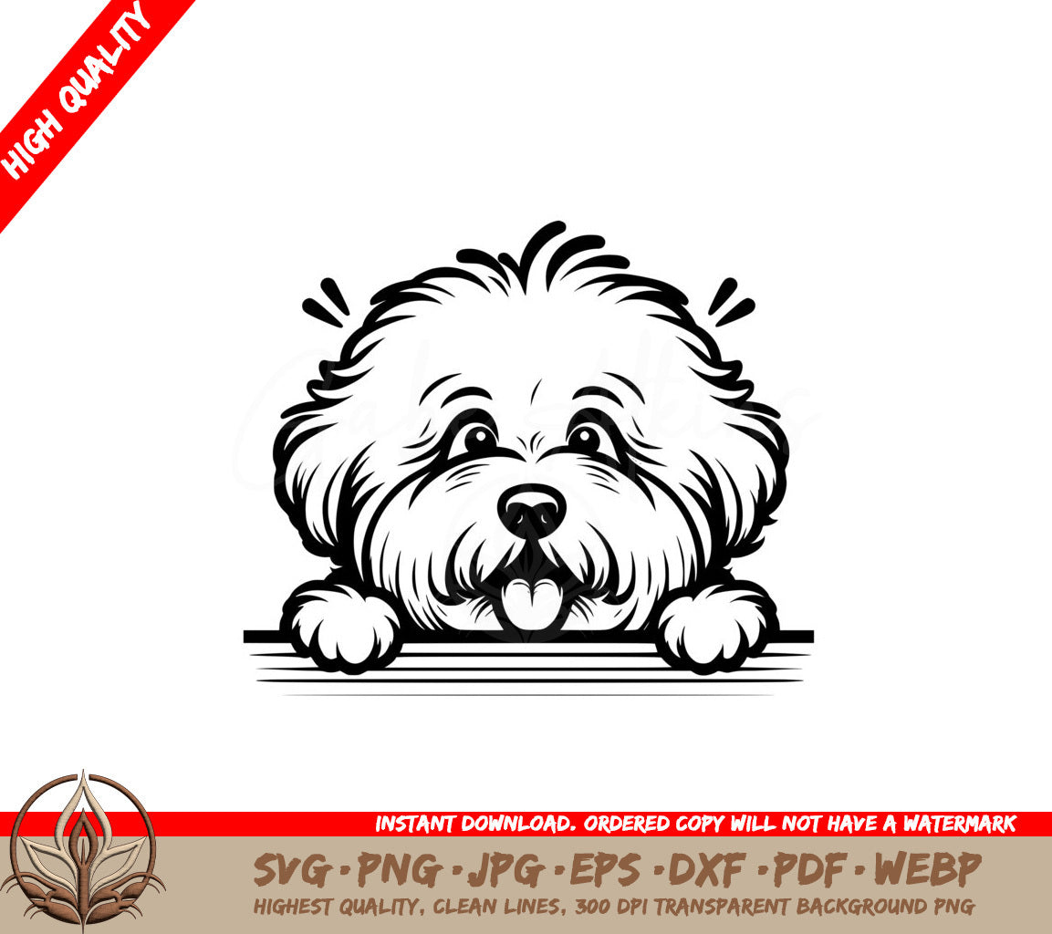 Fluffy Portuguese Waterdog SVG File