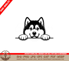 Focused Alaskan Malamute SVG