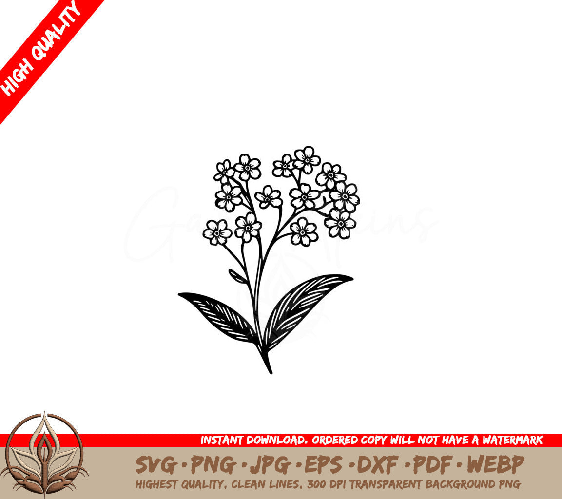 Forget-me-not Flower Cluster SVG