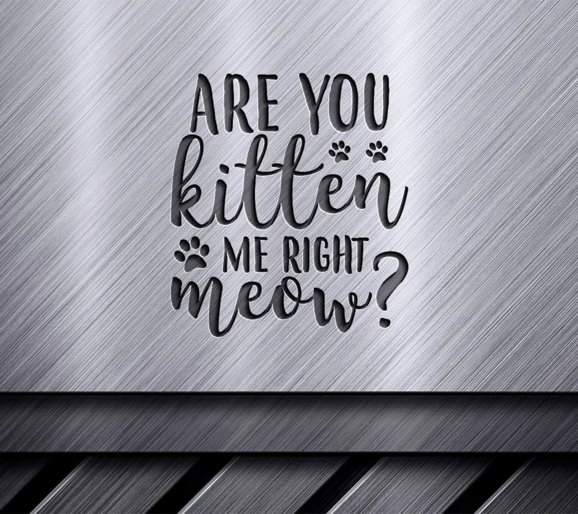 Are You Kitten Me Right Meow Funny Cat SVG Design -  SVG