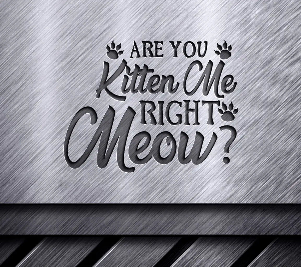 Are You Kitten Me Right Meow Funny Cat SVG Design -  SVG