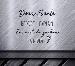 Funny Christmas SVG Bundle Dear Santa Before I Explain... SVG