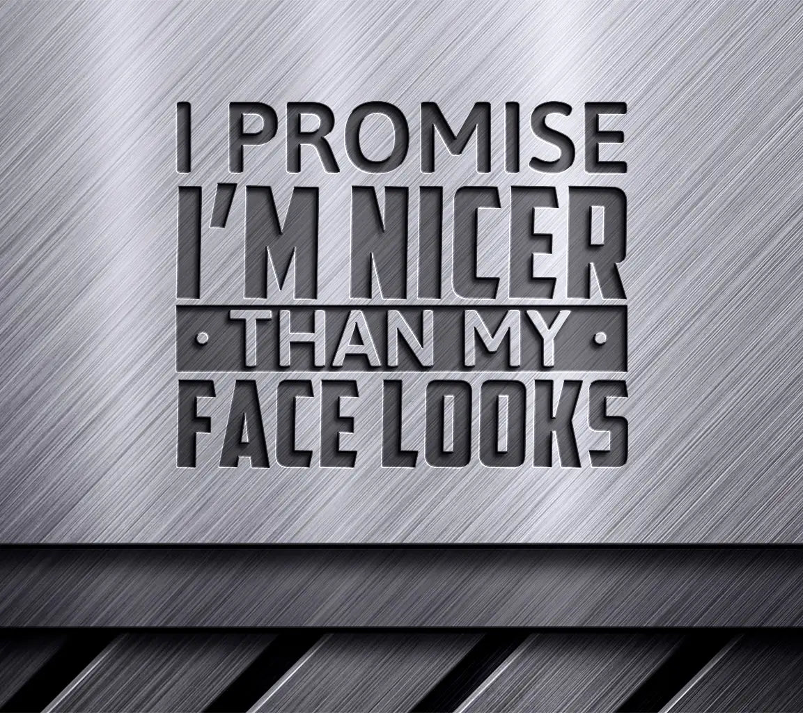 Funny I Promise Im Nicer Than My Face Looks  SVG Design SVG