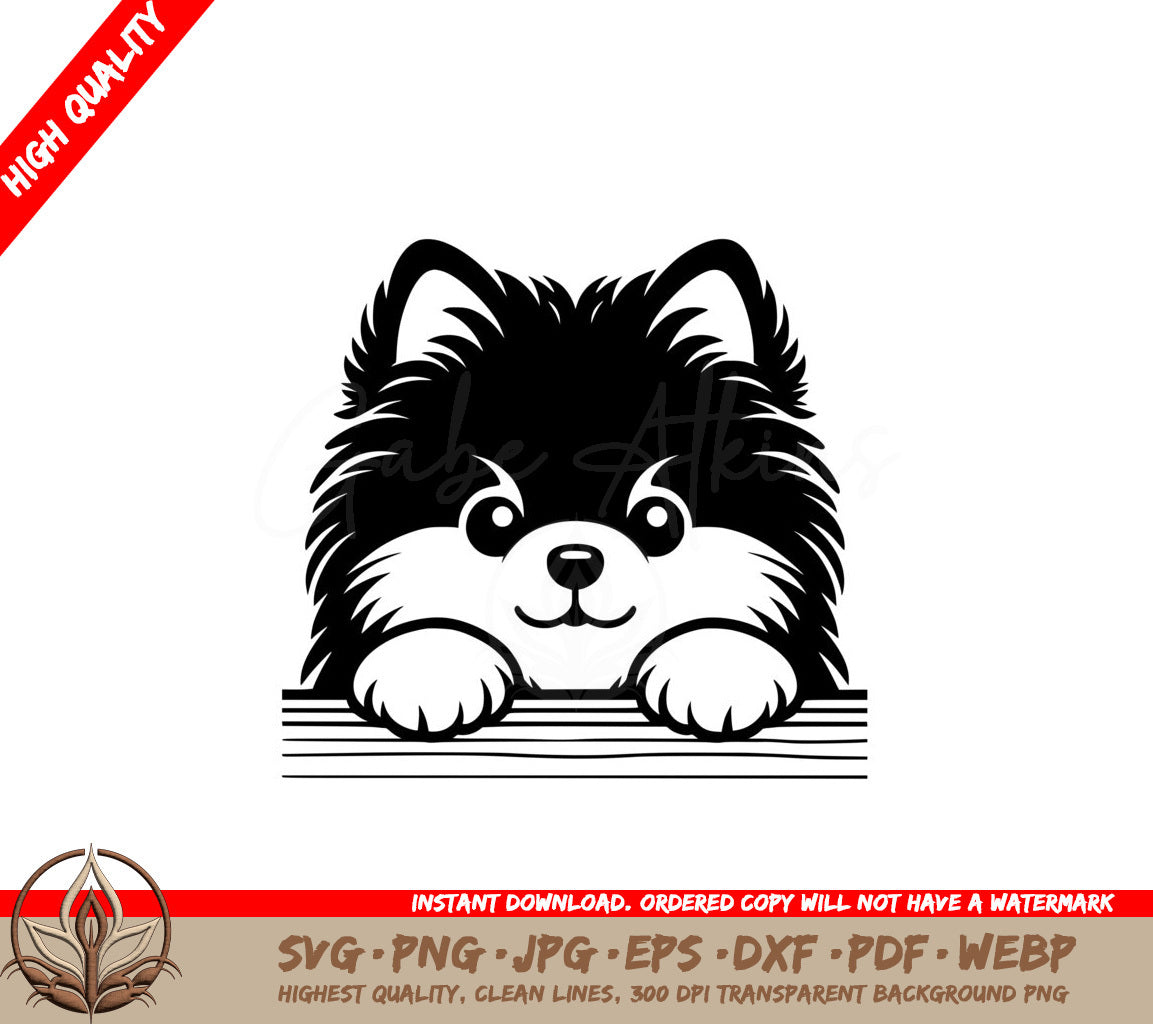 Furry Pomeranian Buddy SVG