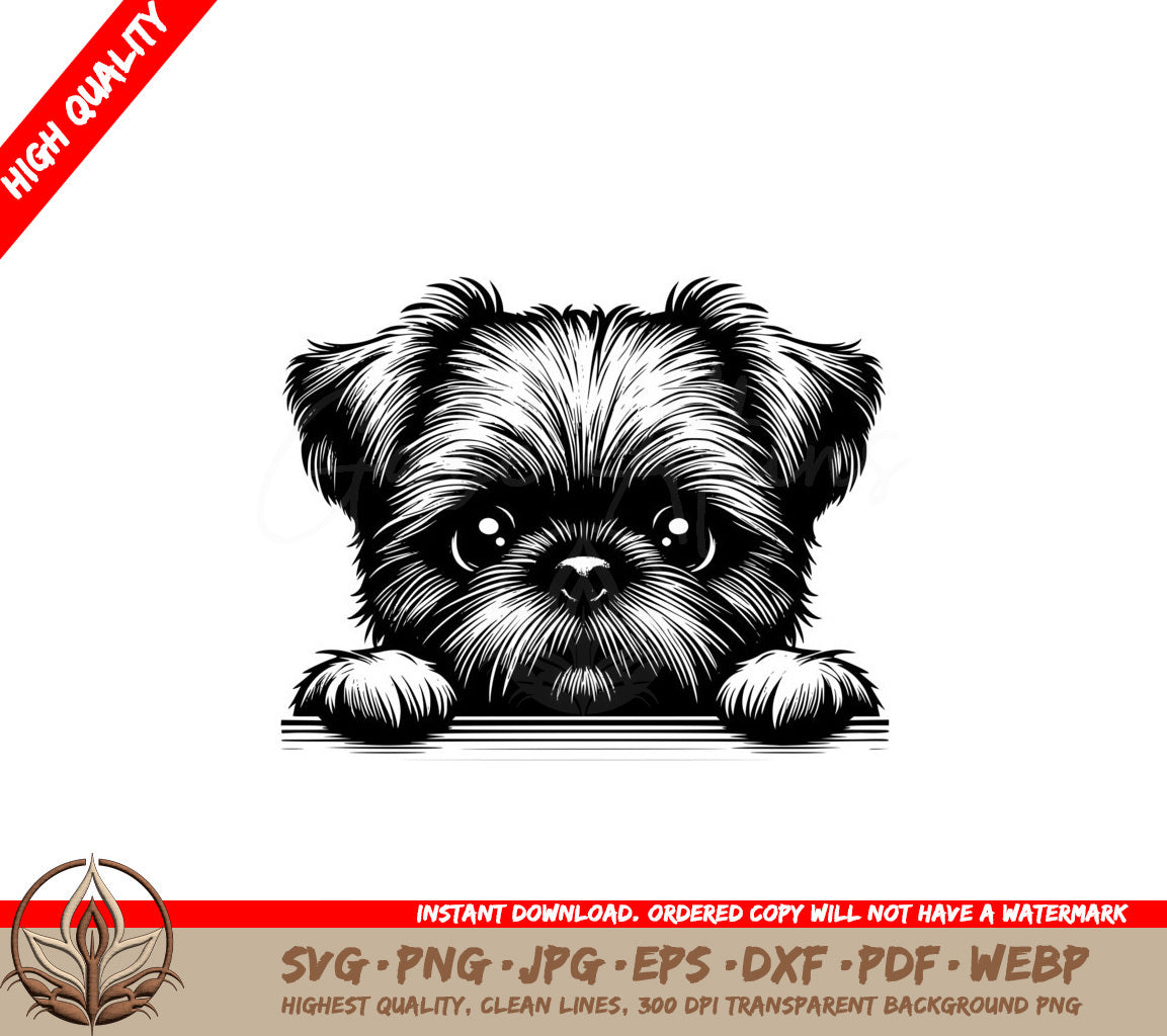 Fuzzy-eyed Brussels Griffon Digital SVG