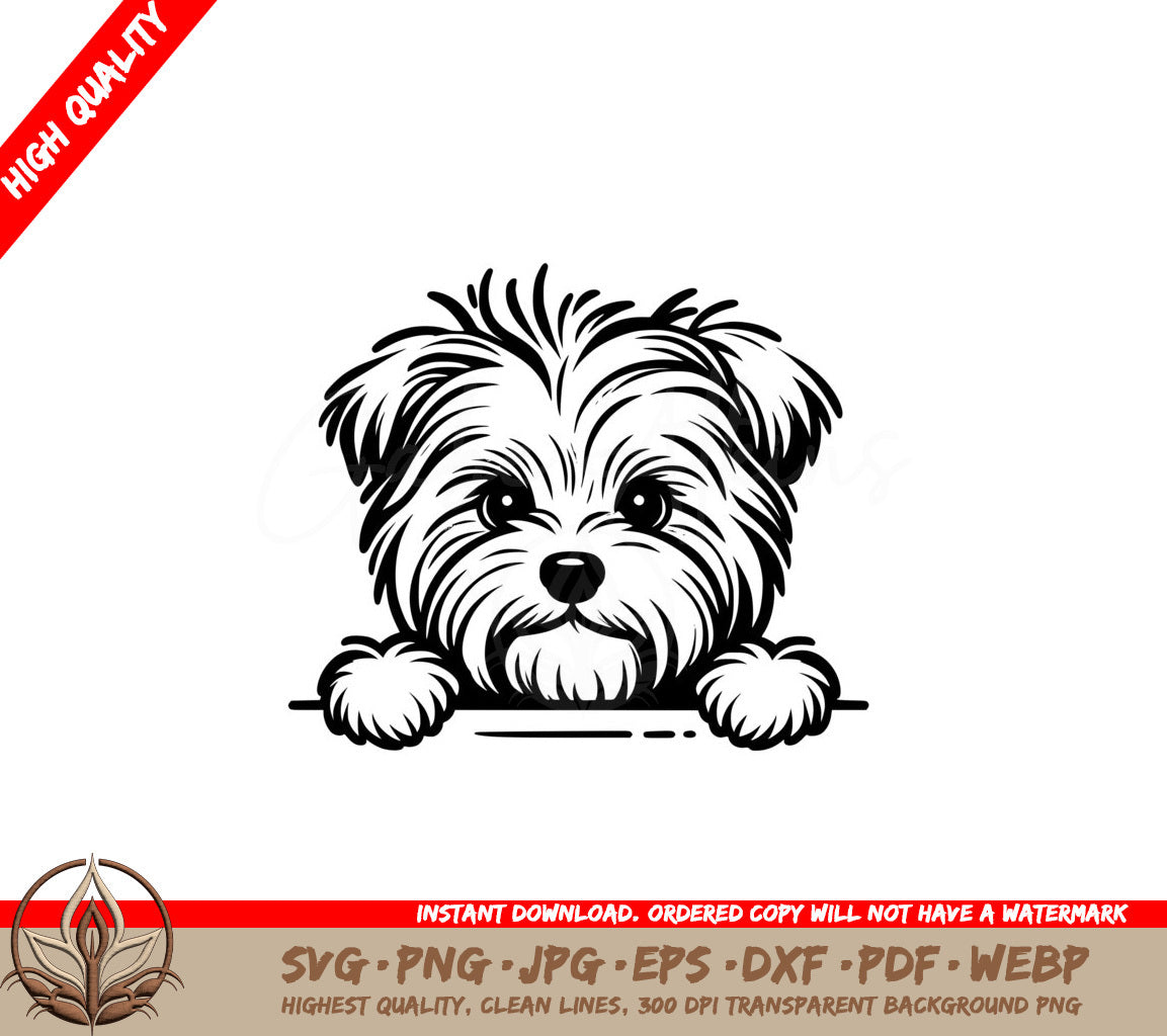 Fuzzy Biewer Terrier - Digital Product in SVG Format