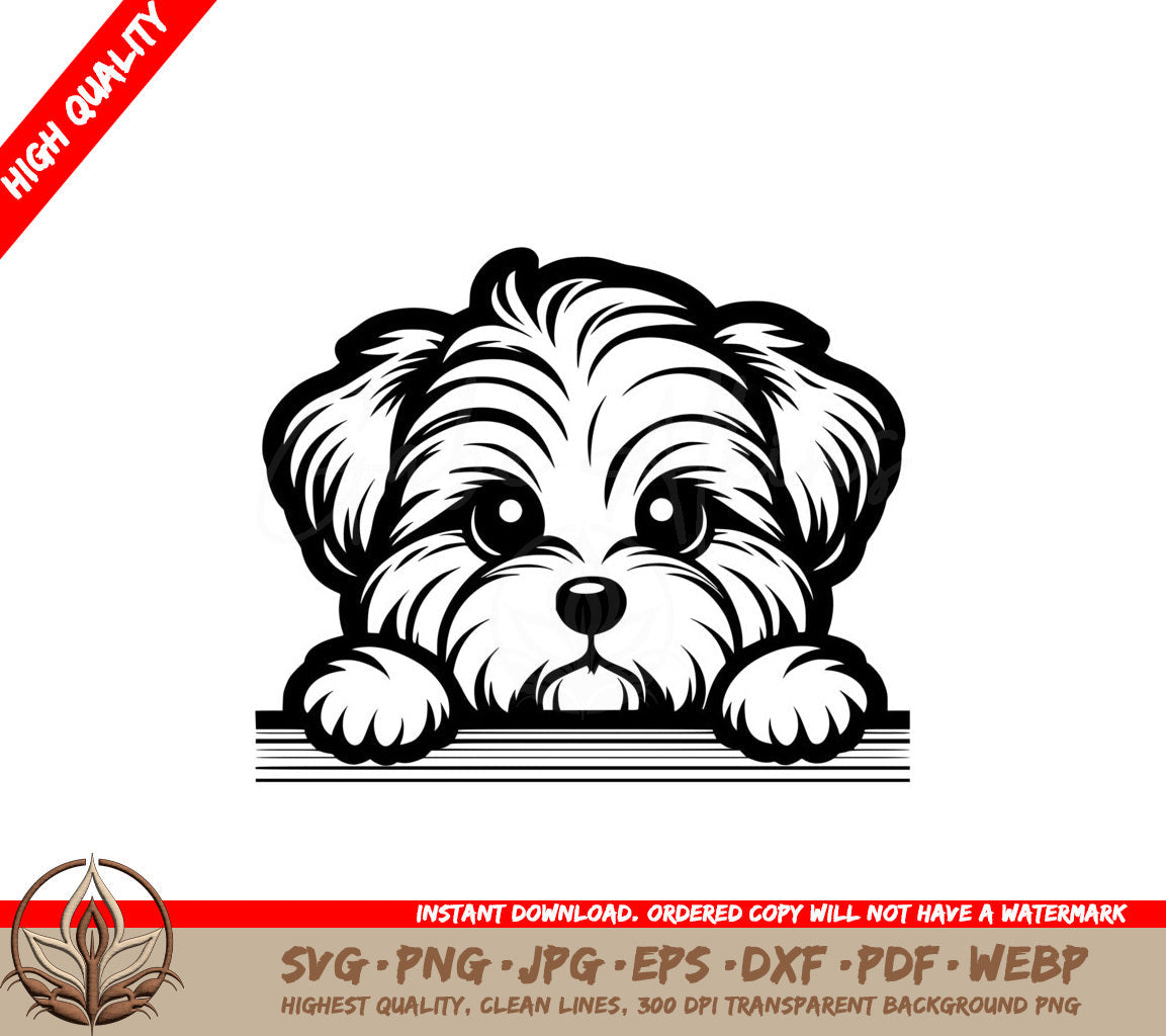 Fuzzy Biewer Terrier Peeking SVG - Digital Product File