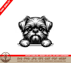 Fuzzy Brussels Griffon Gaze SVG