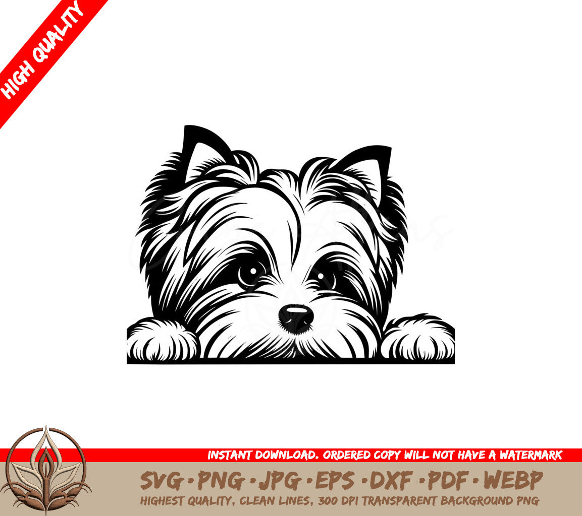 Fuzzy Eyed Biewer Terrier SVG - Digital Product in Multiple Formats