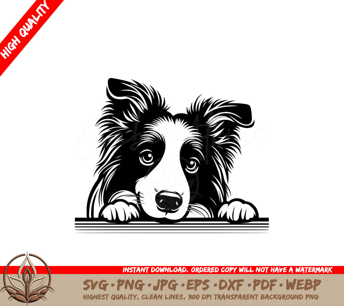 Gentle Furry Border Collie SVG - Digital Product with Multiple File Formats