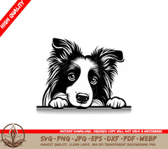 Gentle Furry Border Collie SVG - Digital Product with Multiple File Formats