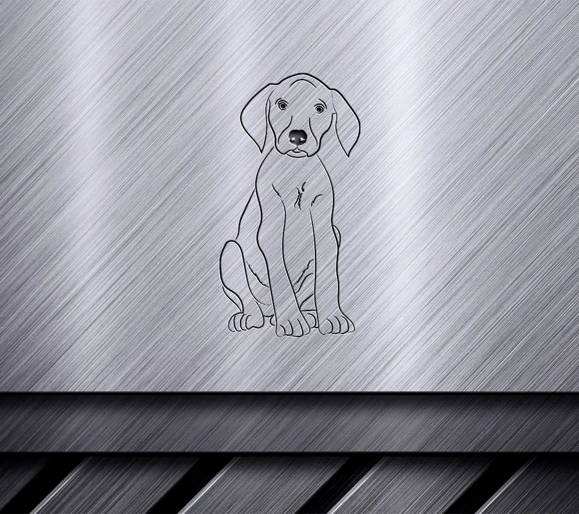 German Shorthaired Pointer Puppy Sitting SVG -  Drawing SVG