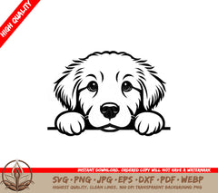 Golden Retriever Peekaboo SVG - Digital Product File