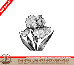 Gorgeous Iris SVG - Digital Product in Multiple Formats