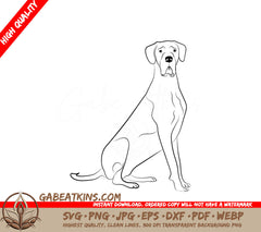 Great Dane Sitting Down -  SVG Illustration SVG