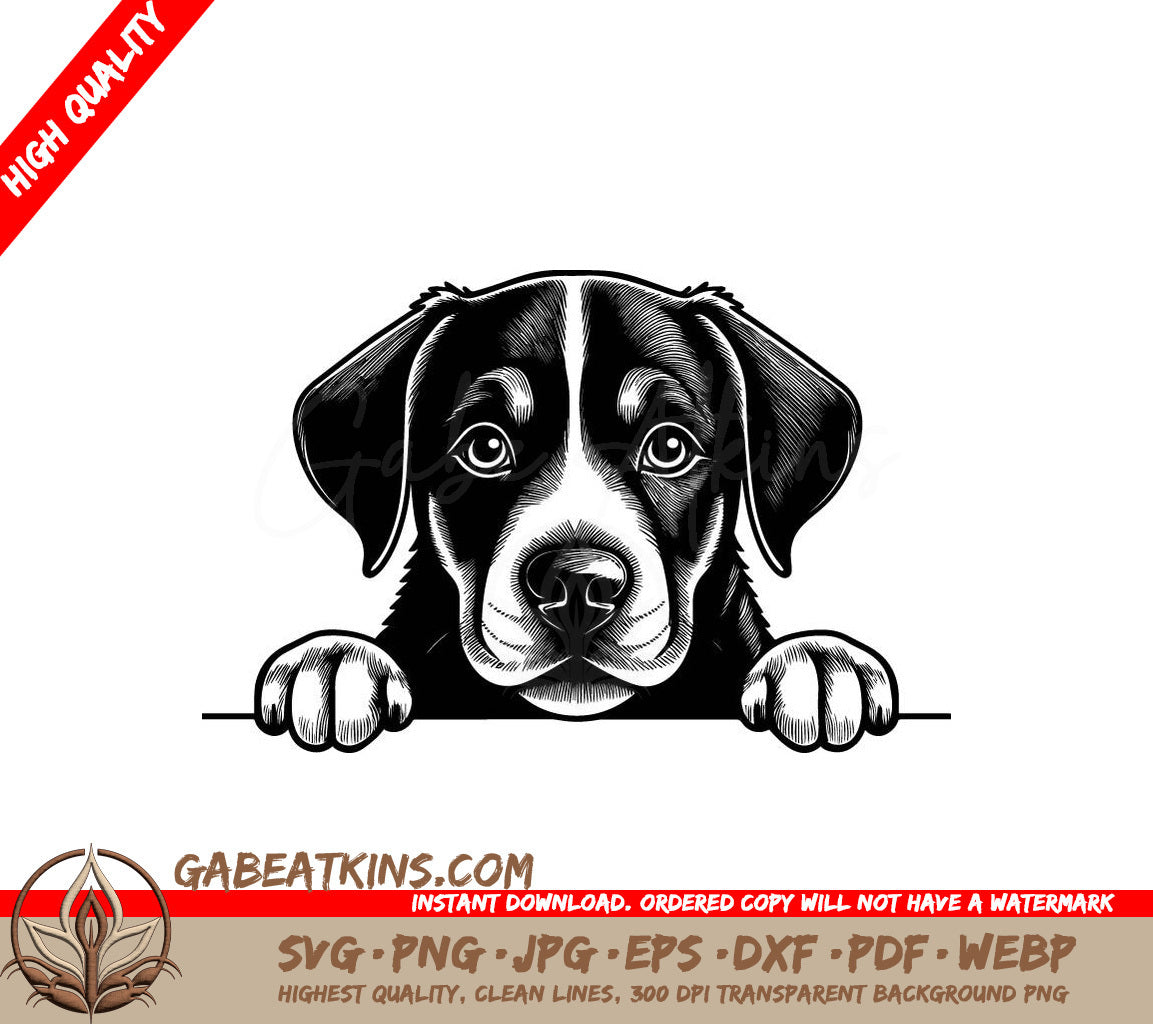 Greater Swiss Mountain Dog Peeking Over Wall -  SVG Drawing SVG