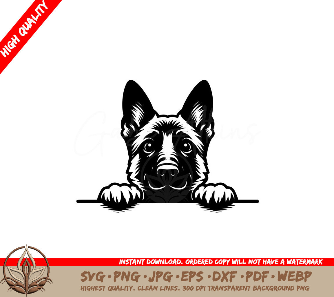 Guarding Belgian Malinois SVG - Digital file in various formats