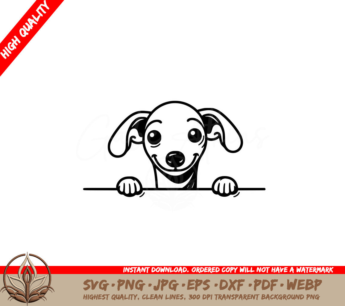 Happy Italian Greyhound SVG - Digital file in multiple formats