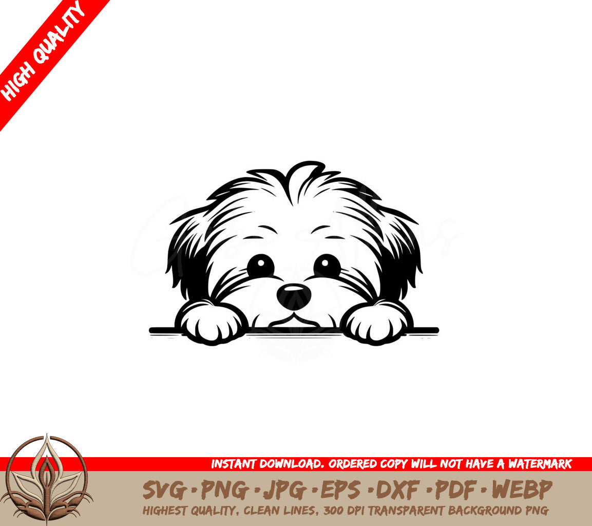 Havanese Peeking SVG Single Digital File