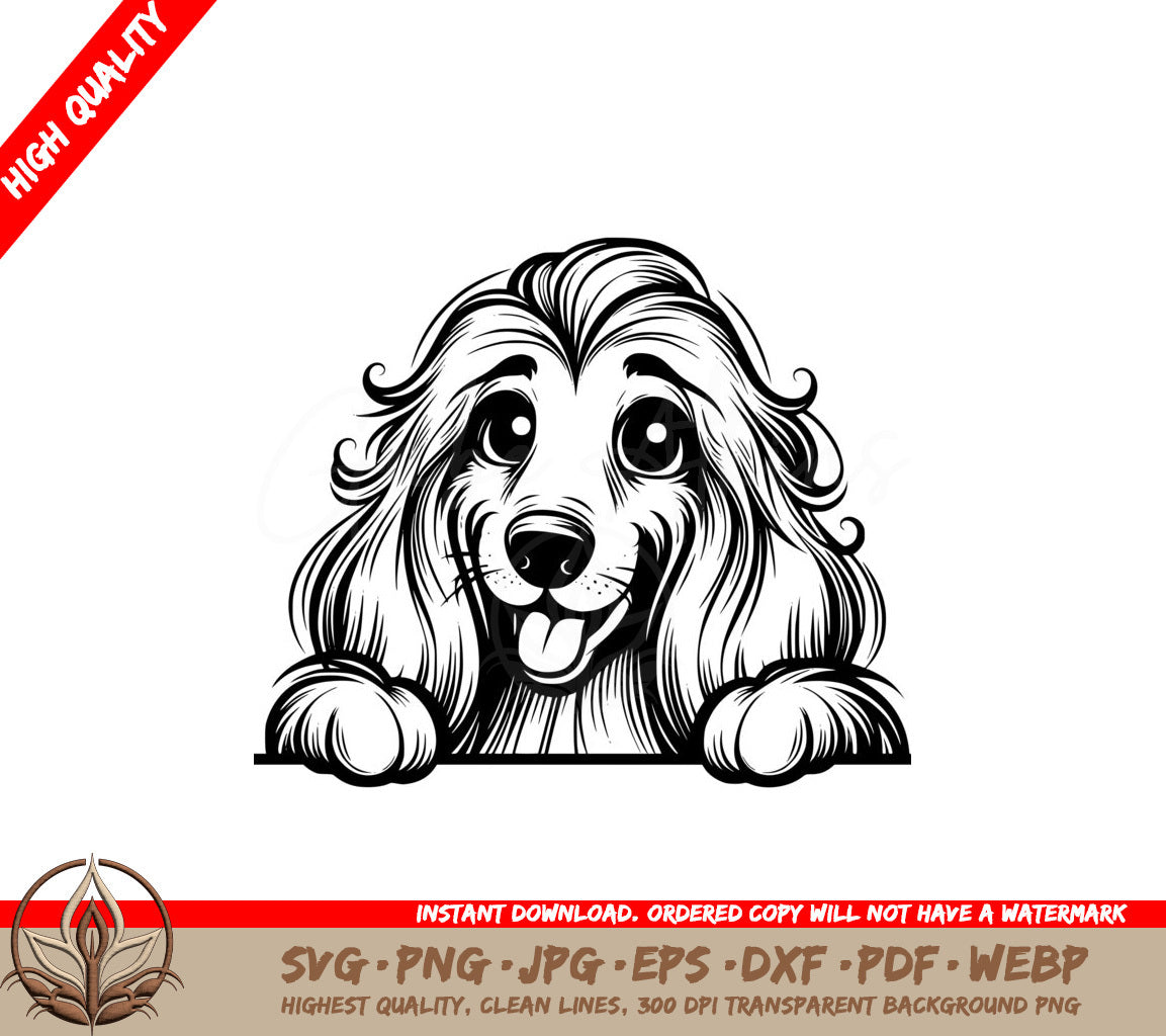 Hide-and-seek Afghan Hound in SVG