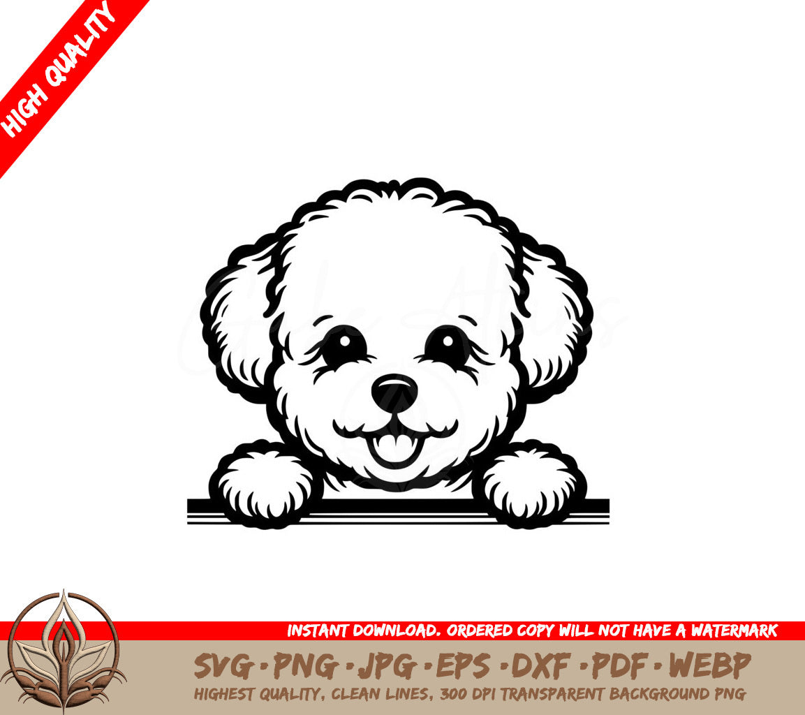 Hide-and-seek Bichon Digital Product SVG