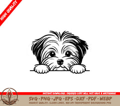 Hide-and-seek Biewer Terrier SVG - Digital Product in Various File Formats