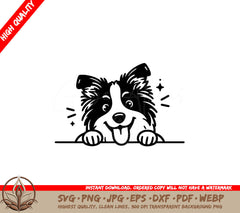 Hide-and-seek Border Collie SVG Digital Product