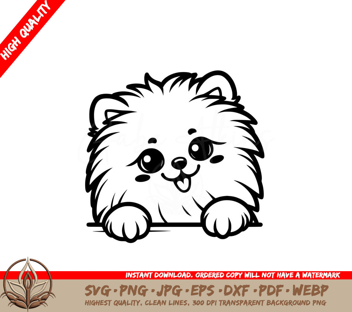 Hide-and-seek Pomeranian SVG