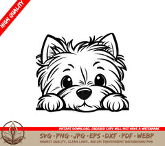 Hide-and-seek Westie Design SVG