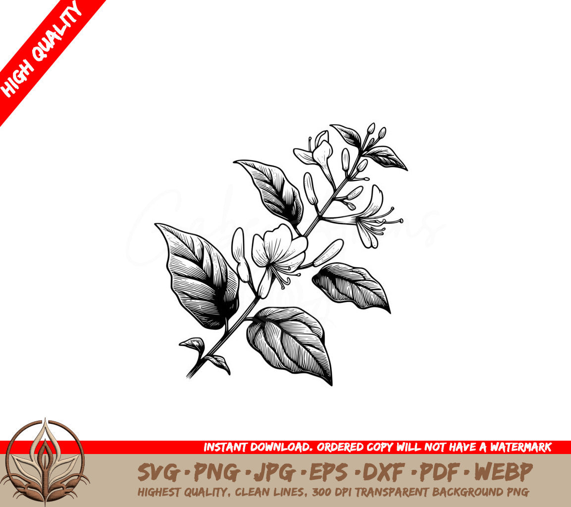 Honeysuckle Bloom SVG - Digital Product file in various formats